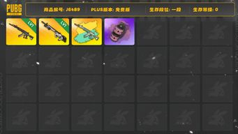 绝地求生（PUBG）成长型妖魔之触ace原皮跟异色，成长型赛博危机mk12，粉烟，一张图纸，美杜莎98k等