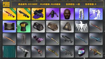 绝地求生（PUBG）CC15637 一段 黑鬼 7级无信号M416 发光手臂 无信号M4异色 无信号紫色配木炭色 1级暗影之主MK12...