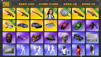 绝地求生（PUBG）[K4899]3段229级 信誉4 布加迪 卡宴 2级瀚娜  7级美杜莎 4级恶魔 3级猛虎 2级塞壬 1级暗影之主 1级m249 1级无重力 烟雾弹 白战神 黑鬼 金面 滑雪镜 渔夫帽 小马尾 丸子头  ningning 