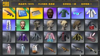绝地求生（PUBG）[TB334]1段1级（免费版）信誉2 3级美杜莎762,黑鬼,小绿东,星魂虎虎生威大礼包,丸子头