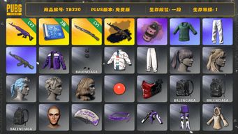 绝地求生（PUBG）[TB330]1段1级（免费版）信誉2 1级猛虎98K,3级美杜莎762,美杜莎762异色,美杜莎金属深灰,烟雾弹,粉色烟雾弹,小绿东,星魂虎虎生威大礼包