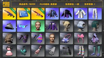 绝地求生（PUBG）[TB333]1段1级（免费版）信誉2 1级无信号M416,3级美杜莎762,小叮当套装,星魂虎虎生威大礼包,丸子头