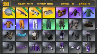 绝地求生（PUBG）[TB332]1段1级（免费版）信誉2 1级美杜莎762,1级无重力MP5K,2级塞壬平底锅,金面,发光手臂,小叮当套装,小绿东,萨芬裤,黄东,拉风龙套装,星魂虎虎生威大礼包
