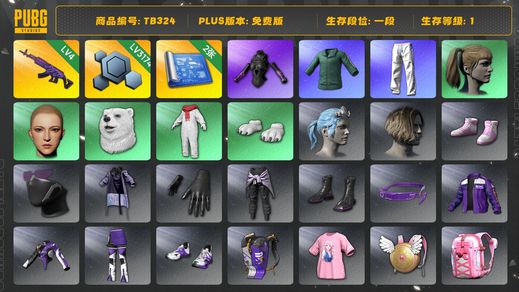 绝地求生（PUBG）[TB324]1段1级（免费版）信誉2 4级美杜莎762,发光手臂,小绿东,星魂虎虎生威大礼包,小马尾