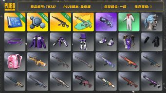 绝地求生（PUBG）[TB327]1段1级（免费版）信誉2 1级妖魔ACE,妖魔ACE异色,烟枪,紫色魔法迷雾 - M79