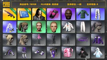 绝地求生（PUBG）[TB328]1段6级（免费版）信誉2 3级美杜莎762,1级多利安,黑鬼,烟雾弹,品红色烟雾弹,小绿东,星魂虎虎生威大礼包,丸子头,小马尾