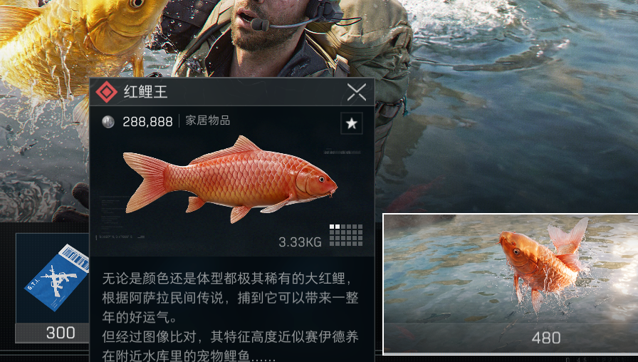 三角洲行动红鲤王