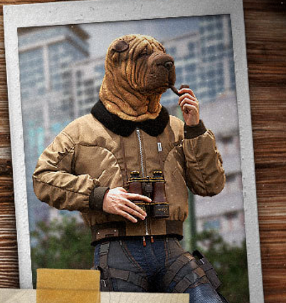 PUBG沙皮狗(复古飞行员夹克造型)